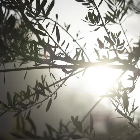 Apartament Ethos Retreat, Luxury *