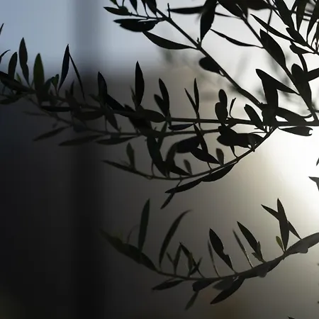 Ethos Retreat, Luxury *