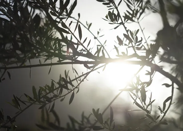 아파트 Ethos Retreat, Luxury *