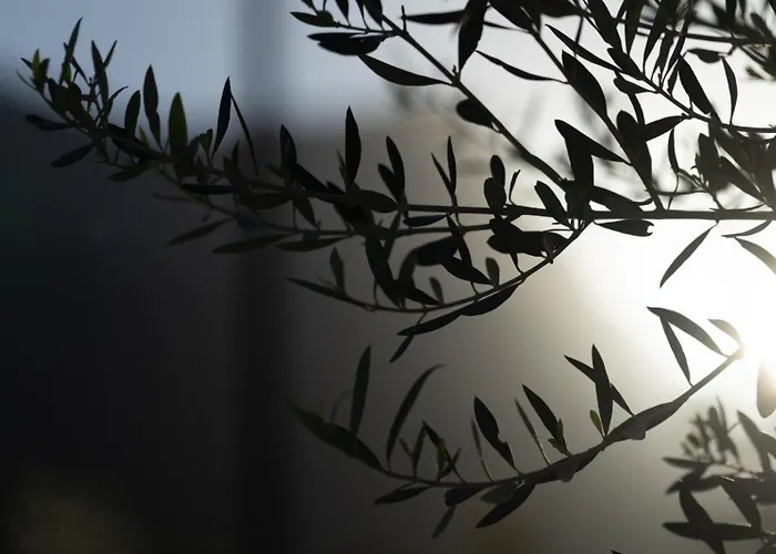 Ethos Retreat, Luxury *